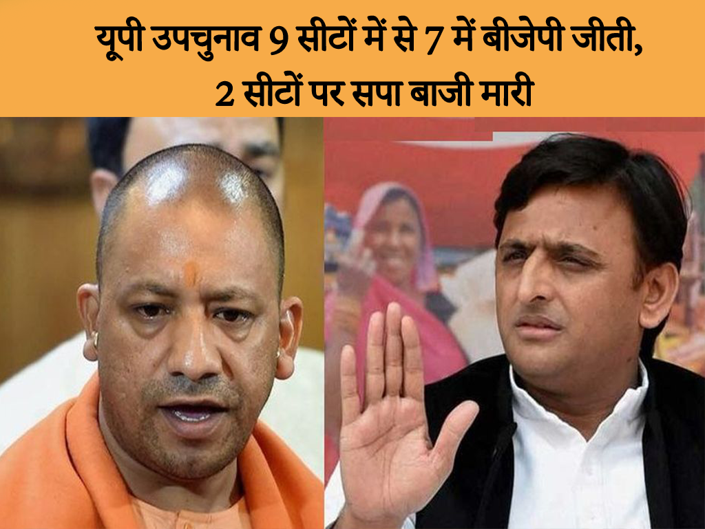 yogi